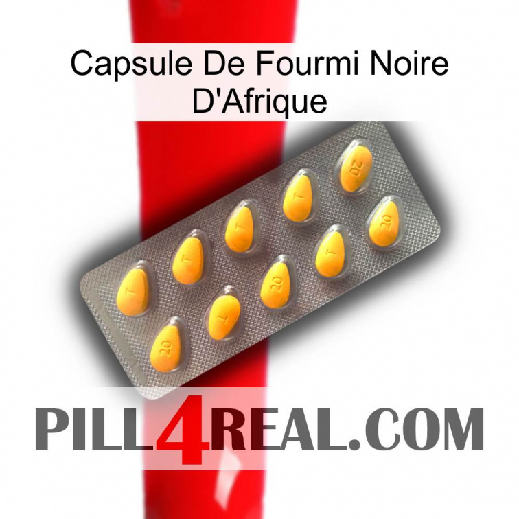 Africa Black Ant Capsule cialis1